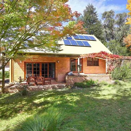 Honeysett Lodge Katoomba Exteriör bild